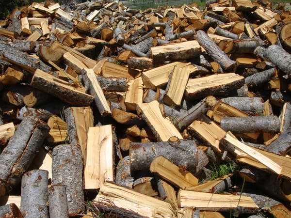 Cherry firewood and logs